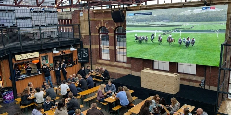 cheltenham gold cup networking